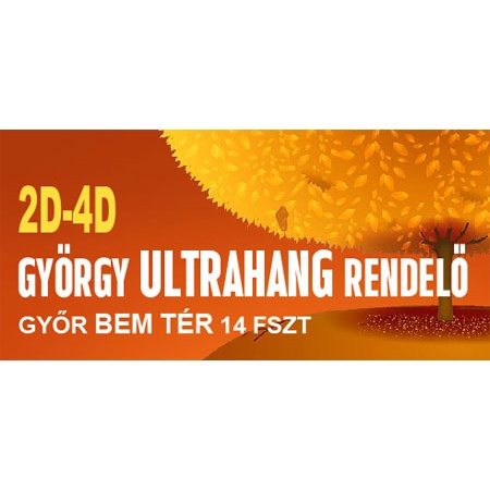 4D Ultrahang György Kft.